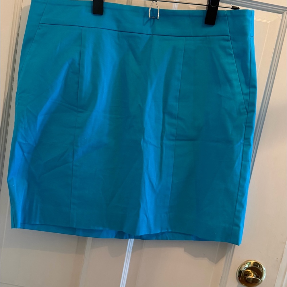Ann Taylor Turquoise Blue Women's Madison Skirt